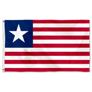 The United States Florida Provisional 1861 Flag