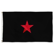 EZLN Flag Banner