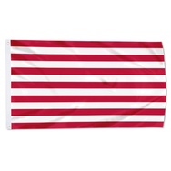 Naval jack of the United States (1776 to 1777) Flag Banner