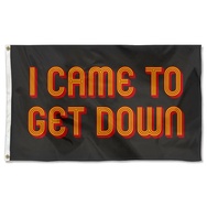 I Came To Get Down Flag Banner