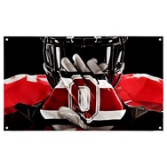 Ohio State Buckeyes Gloves Helmet Flag Decer Banner