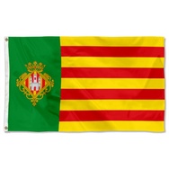 Fyon Castellón de la Plana Valencian Community, Spain Flag Banner