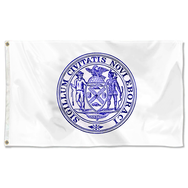 New York City flag (1914-1915)