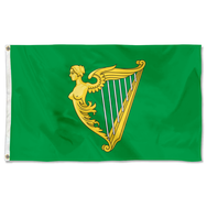 A traditional green harp flag of Ireland with a slightly different harp from File Arms of Ireland Historical Flag