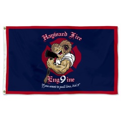 HAYWARD FIRE ENG9INE Flag Banner