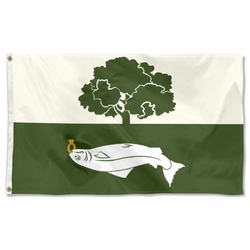 Glasgow  Scotland UK Flag Banner