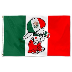 Mexican Boy holding Mexico National Wall Garage Flag Banner