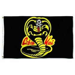 Cobra Kai Strike First Karate Kid Flag Banner