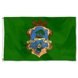 Souk-Ahras, Algeria Flag Banner