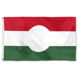 1956 Hungarian Revolution Flag Banner