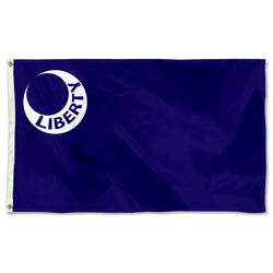 The United States Fort Moultrie, South Carolina Flag