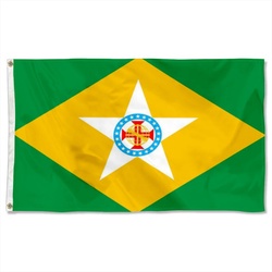 Proposal of Brazil Flag Banner