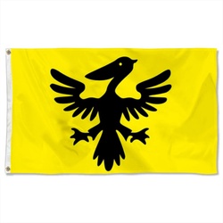 Syldavia Flag Banner