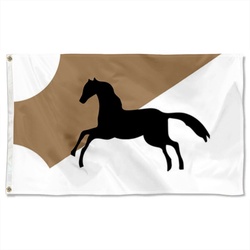 Tunis under the Hafsids according to the Catalan Atlas Flag Banner