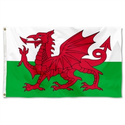 Wales Flag Banner