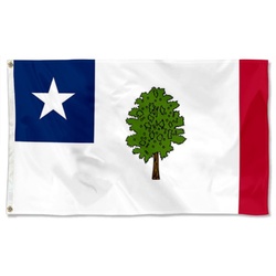 Mississippi 1861 Flag Banner