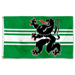 Oost-Vlaanderen Flag Banner