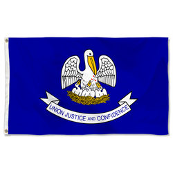 The United States Louisiana (2006-2010) Flag
