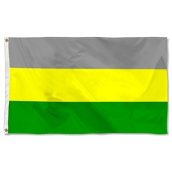 3rd Cavalry Regiment of the Indian Army Flag Banner