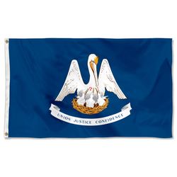The United States Louisiana Flag