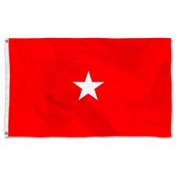 Field of a US Army Brigadier General Flag Banner