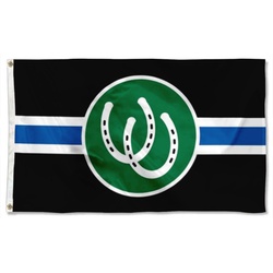 The Pony Pride Flag Banner