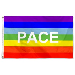 PACE Flag Banner