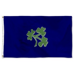 Cricket Ireland Flag Banner