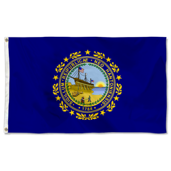 The United States New Hampshire (1909-1931) Flag