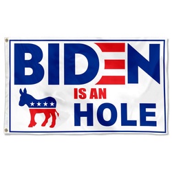 Biden Is An A Hole Desantis Flag Banner