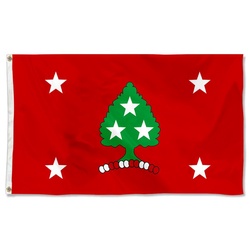 The State of Tennessee Flag Governor Banner