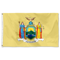 The United States New York (1896-1901) Flag