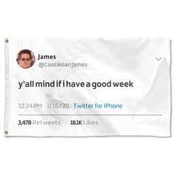 James Y'all mind if i have a good Week Funny Twitter Flag Banner