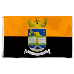 Coat of Arms of Arroyo Flag Banner