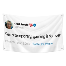 100T Froste SEX Funny Twitter Flag Banner White