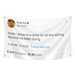 Cody Ko - Think I deserve a drink for all this sitting around ive been doing Funny Twitter Flag Banner White
