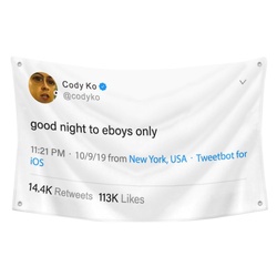 Cody Ko- good night to eboys only Flag Twitter Banner White
