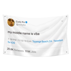 Cody Ko- my middle name is vibe Flag Twitter Banner White