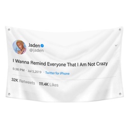 Jaden - I wanna Remind Everyone That I Am not Crazy Funny Twitter Flag Banner White