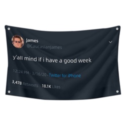 James - y'all mind if i have a good week Funny Twitter Flag Banner Black