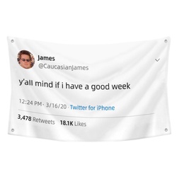 James - y'all mind if i have a good week Funny Twitter Flag Banner White