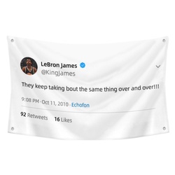 LeBron James - They keep taking bout the same thing over and over Funny Twitter Flag Banner White