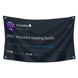 Lil pump - 2021 ima start reading books Funny Twitter Flag Banner Black