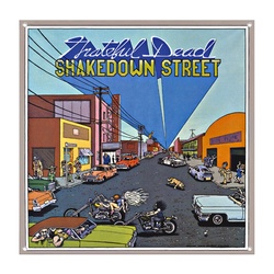 GRATEFUL DEAD Shakedown Street Decor Flag Banner