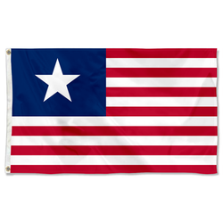 The United States Texas(1835-1839) Flag