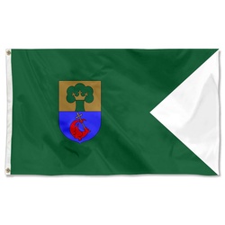 Erd, Hungary Flag Banner