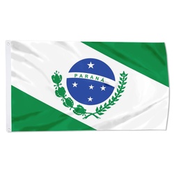Paraná Flag Banner