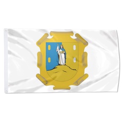 San Luis Potosí Flag Banner