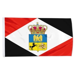 Napoleonic Kingdom of Naples, from 1808 to 1811 Flag Banner