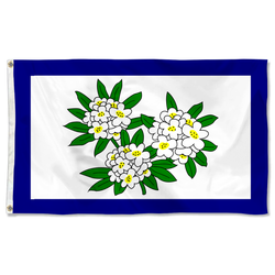 The United States West Virginia(1905-1907) Flag